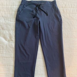 Backcountry Navy Joggers